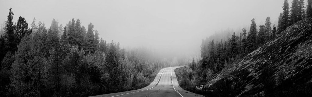 Foggy road